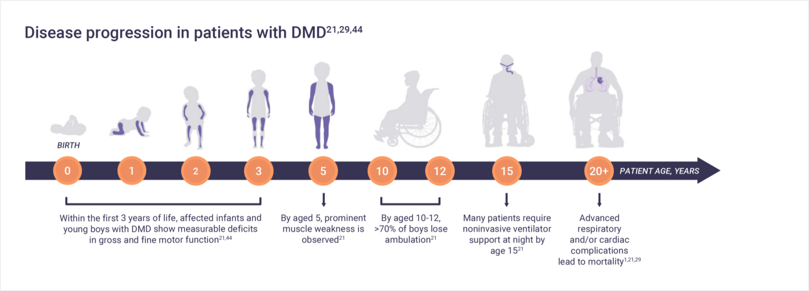 Infographic: Disease progression in patients with DMD