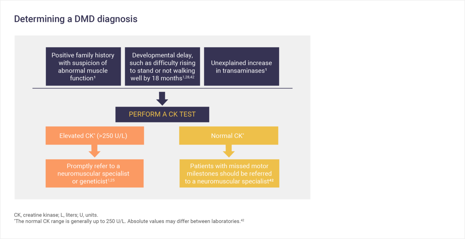 Infographic: Determining a DMD diagnosis