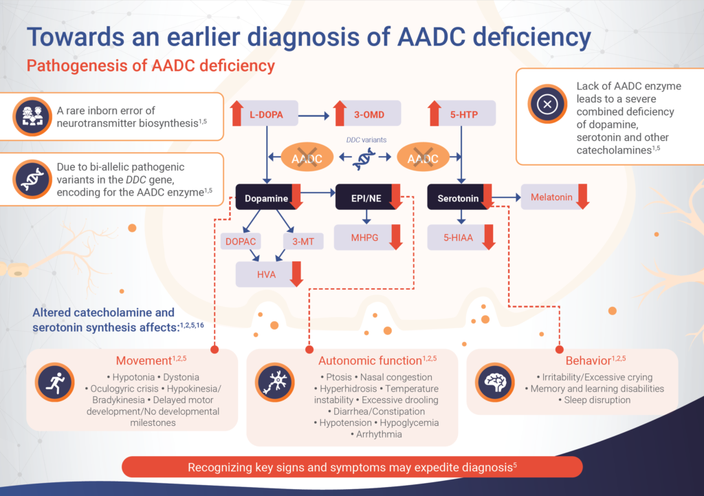 AADC deficiency disease overview - MEDhub