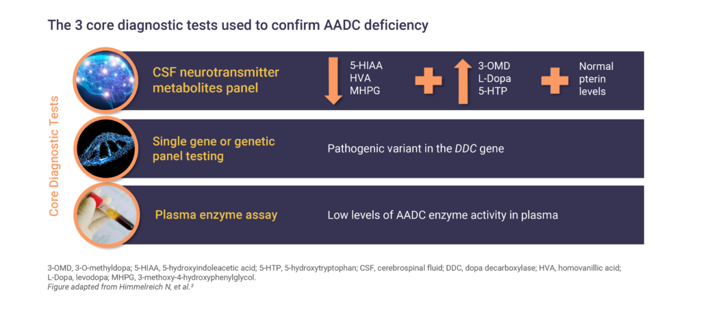 Infographic: The 3 core diagnostic tests used to confirm AADC deficiency