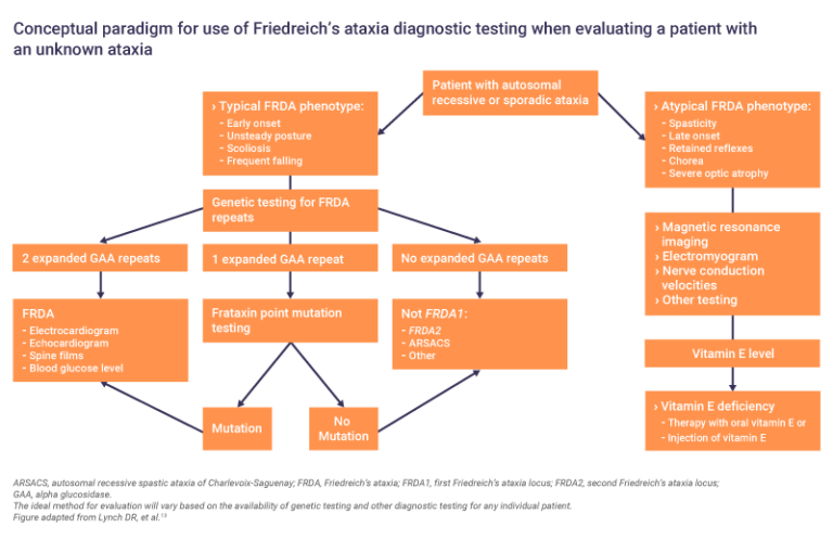 Friedreichs Ataxia Disease Overview Medhub