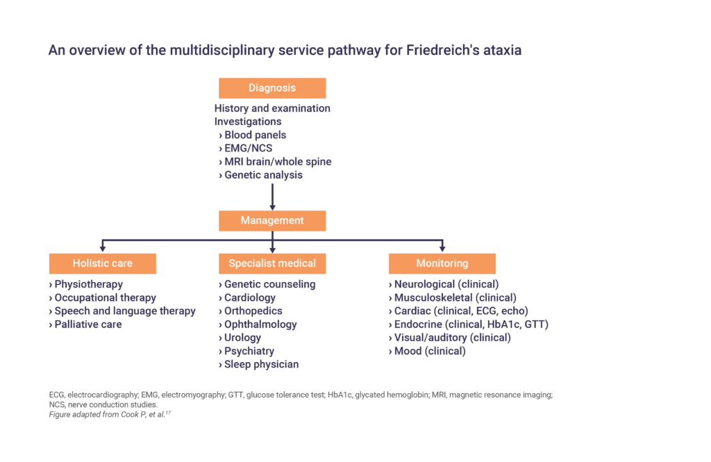 Friedreich Ataxiamarketed And Pipeline Drugs Analysis Friedreich’s ataxia disease overview - MEDhub