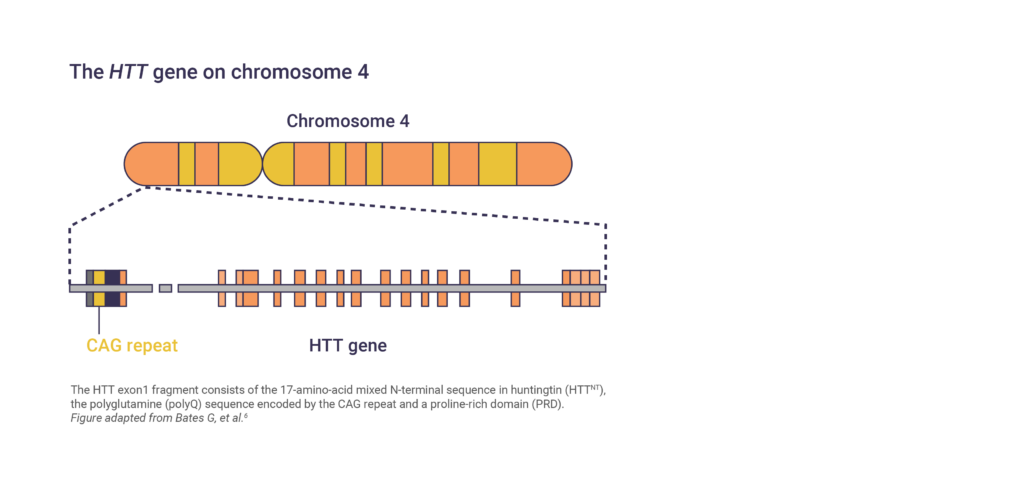 Huntingtons Disease Overview Medhub 4784