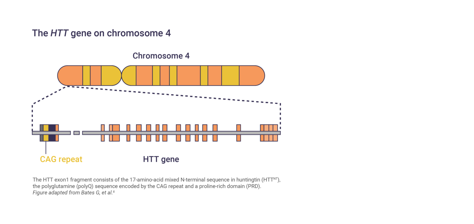 Huntington’s disease overview MEDhub