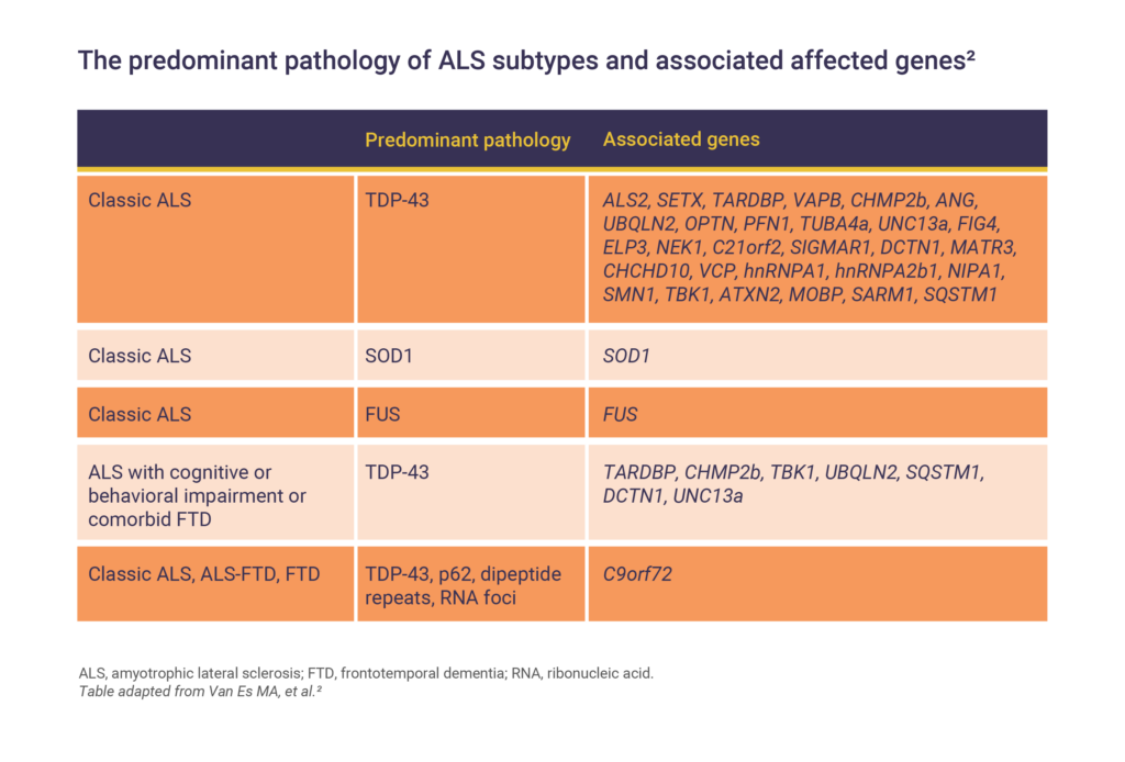 Amyotrophic lateral sclerosis (ALS) - MEDhub